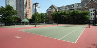 Avalon Cove Gallery 46