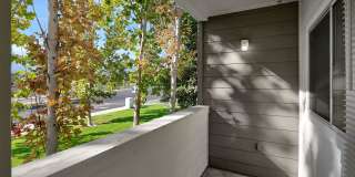 Almaden Lake Village Gallery 21