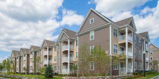 Berry Farms Gallery 25