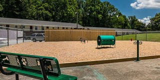 The Station on Pineview Gallery 22