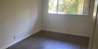 162s Gallery 6