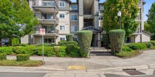 Sofi at Cedar Mill Gallery 34