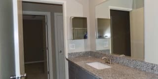 The Palms The Palms Gallery 10