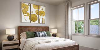 Allier Gulf Shores Gallery 7