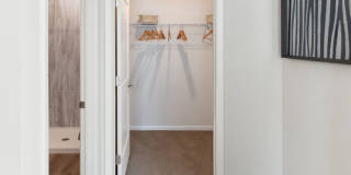 Maxwell Gallery 20