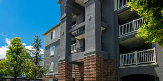 Park Vue Park Vue Gallery 7