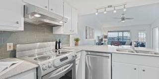 1101 Hollow Creek Drive Gallery 19