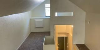 shas2228 Gallery 5
