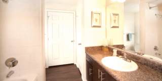 11852 Martin Luther King Street N Gallery 15