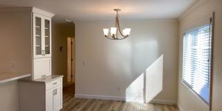 856 Marino Pines Road Gallery 8