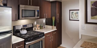 Avalon Cove Gallery 11