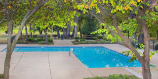 Brookwood Village Gallery 17