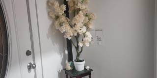 334 STEGMAN PARKWAY Gallery 2