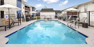 The Archer Gallery 1