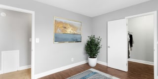 Carolina Village Gallery 30