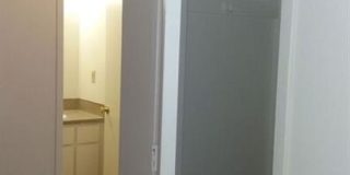 Linden Apartments Gallery 13