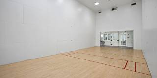 The Chapman Gallery 27