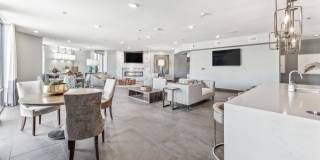 Terra at University North Park Gallery 20