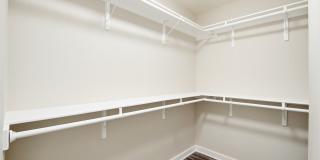 8606 Still Moon Gallery 18