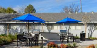 The Easton Apartments Gallery 7
