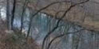 48 Grisham Drive Gallery 16