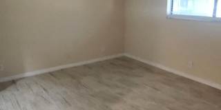 255 S Tropical Trail Gallery 14
