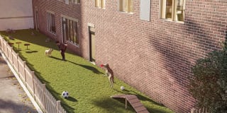 The Walcott Hackensack Gallery 36