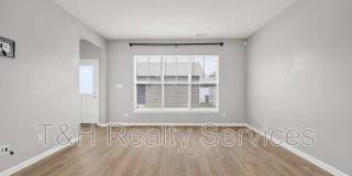 156 Haugh Street Gallery 14