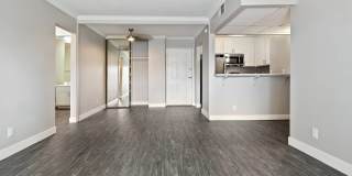 Alura Gallery 37