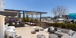 Novel Edgehill Gallery 12