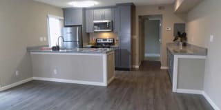 The Palms The Palms Gallery 7