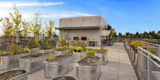 Oregon 42 Gallery 25