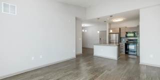 RIZE at Winter Springs Gallery 87