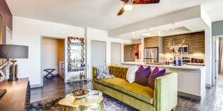 The Douglas at Stonelake Gallery 14