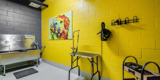 One Arlington Gallery 29