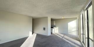 1081 Beach Park Blvd #211 Gallery 15