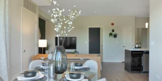 TGM Northshore Gallery 50