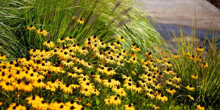 The Elwood at Taralon Gallery 24