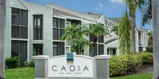 Cadia on the Loop Gallery 26