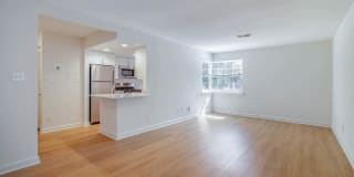 Sheffield Court Gallery 16