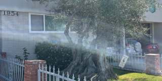 LUXURY LIVING AT AN AFFORDABLE PRICE Gallery 17