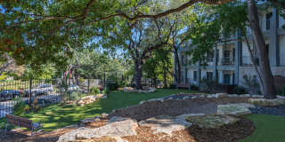 The Lola The Lola Gallery 20