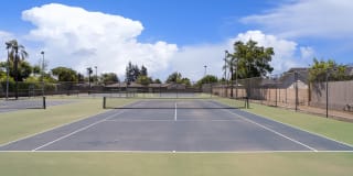 Park West Gallery 11