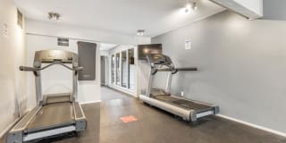 Whisper Hollow Gallery 21