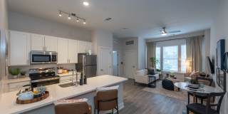 62+ Active Adult - Acclaim at Greenbrier Gallery 15