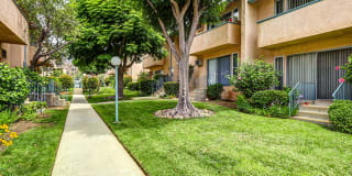 Olive View Gardens Olive View Gardens Gallery 12