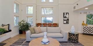 Amador Village Gallery 34