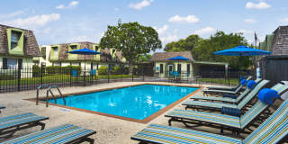 The Palm on SPID Gallery 19