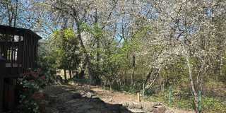 Beautiful 3 Bed + Bonus Room, 2.5 Bath Home! Gallery 16