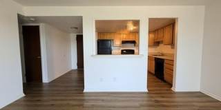 200 West Gallery 6